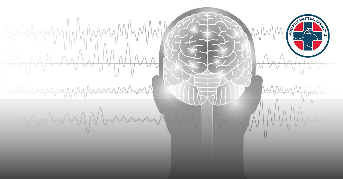  Curso Bases Fundamentales de una Anestesia Total Intravenosa (TIVA) 2026