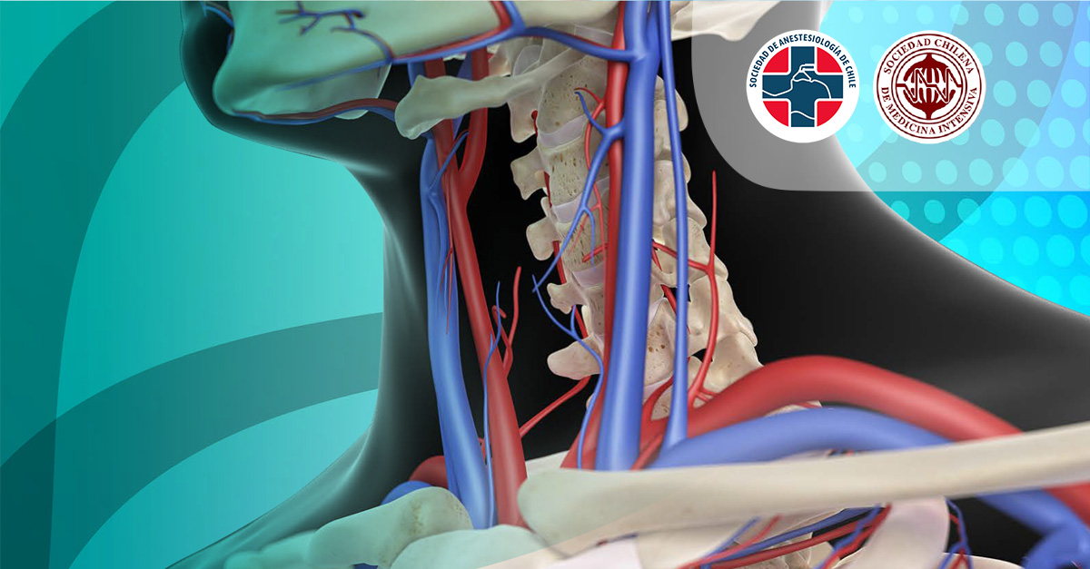 Curso de catéter venoso central y PICC-Line: Fundamentos y aspectos prácticos 2025